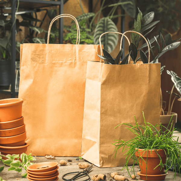 Biodegradable Paper Bags