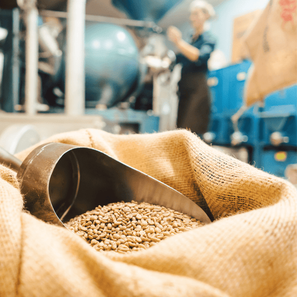 Recyclable Coffee Bags