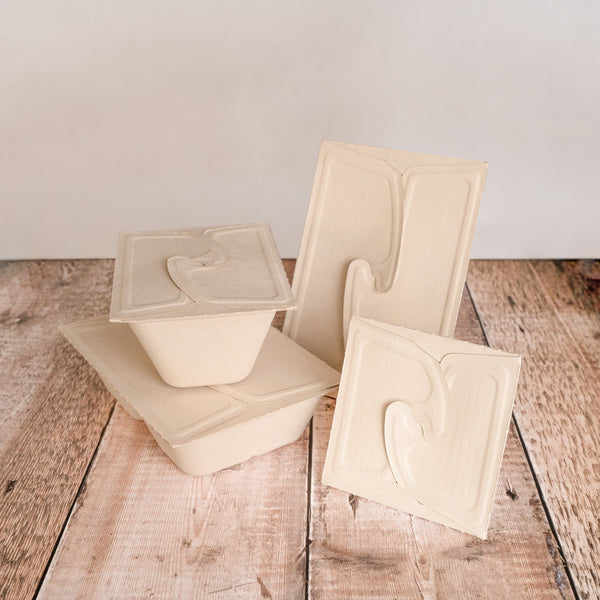 Home Compostable Bagasse Meal Boxes
