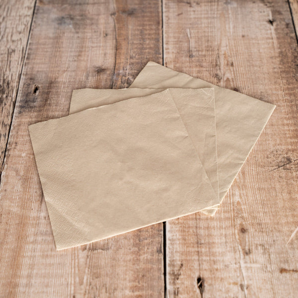 Recyclable and Compostable Natural 2ply Napkins 33cm