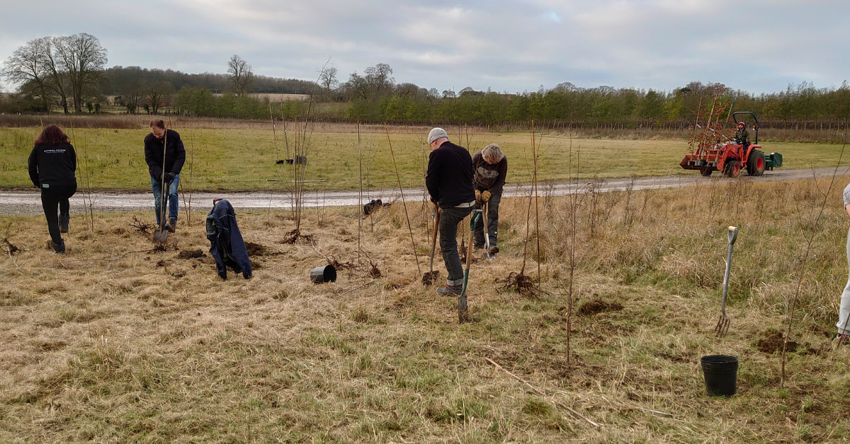 Tree Planting Campaign - Header Image