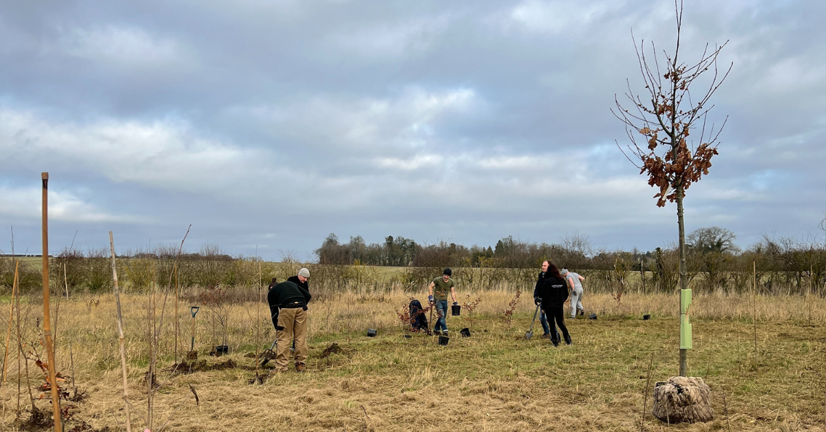 Community Garden Week - Header Image