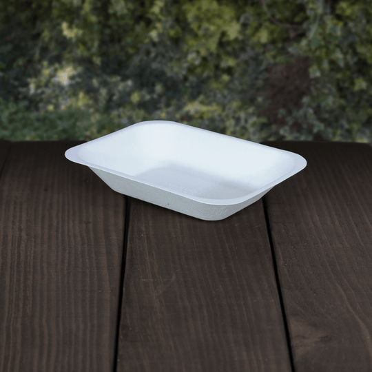 Recyclable and Compostable Bagasse Chip Trays